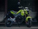 Custom 2016 Honda MSX125 SF / Grom Review - Specs, Release Date, Price - 125cc Motorcycle / Bike