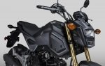 2017 Honda Grom 125 Review / Specs & Changes - Motorcycle / Mini Bike 125cc