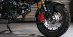 2017 Honda Grom 125 Brakes / Rotors - Motorcycle / Mini Bike 125cc