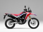 2018 Honda CRF250 RALLY Review / Specs - HP & TQ Performance Info, Price, Release Date, Accessories - Adventure / Dual Sport Motorcycle