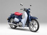 2019 Honda Super Cub 125 Scooter / Motorcycle Review & Specs