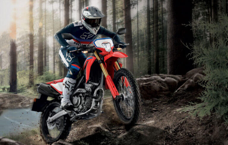 New 2021 Honda CRF300L + RALLY Changes Explained / USA ...