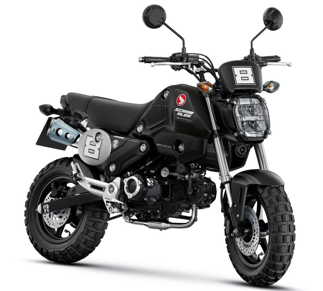 Honda Grom Scrambler : mini-moto pour adulte