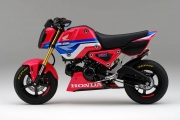 Custom 2021 Honda Grom 125 HRC Race Bike / Motorcycle | MSX125