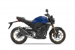 2021 Honda CB300R ABS Review / Specs | Price, Release Date, Changes, Colors + More!