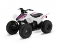 2022 Honda TRX90X | Kids / Youth ATV Review & Specs