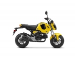 2022 Honda Grom 125 Review / Specs + NEW Changes Explained!