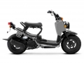 2022 Honda Ruckus Scooter Review / Specs + Changes Explained | NPS50 / 50cc Automatic Scooters
