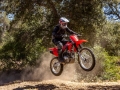 2023 Honda CRF250F Review / Specs | CRF Dirt and Trail Bike / Motorcycle | CRF 250 F