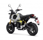 2023 Honda Grom 125 Review / Specs | Mini Bike Motorcycle