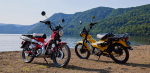 2024 Honda Trail 125 Review / Specs | CT125 Hunter Cub Motorcycle / Mini Bike - Dual Sport