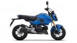 2025 Honda Grom 125 Review / Specs + Changes Explained | 2025 Motorcycle News | New 2025 Motorcycles