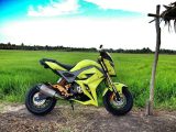 2017 Honda Grom Exhaust / MSX 125 Motorcycle - Mini Naked Sport Bike / StreetFighter - MSX125SF