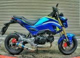 Custom 2017 Honda Grom / MSX 125 Motorcycle - Mini Naked Sport Bike / StreetFighter - MSX125SF