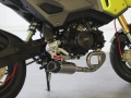 2017 Honda Grom Tyga Exhaust - UnderBody Short Muffler - MSX 125 / MSX125SF / 125cc Motorcycle - Mini Sport Bike / StreetFighter
