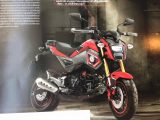 Custom 2016 Honda MSX / Grom Review - Motorcycle / Naked Sport Bike / StreetFighter MSX125