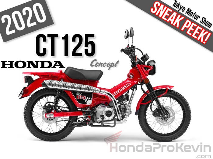 honda moped bike