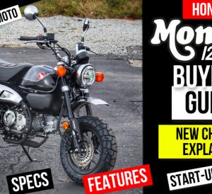 New 2022 Honda Monkey 125 Review: Specs, Changes Explained, Features, Colors, Horsepower, MPG + More! | 125cc Mini Bike / Motorcycle - Vintage / Retro