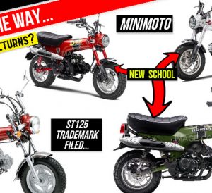 New 2022 - 2023 Honda DAX 125 / ST125 Motorcycle Releasing Soon...? | Vintage / Retro Mini Bike - miniMOTO