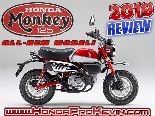 New 2019 Honda Monkey 125 Is Releasing In The Usa Motorcycle News